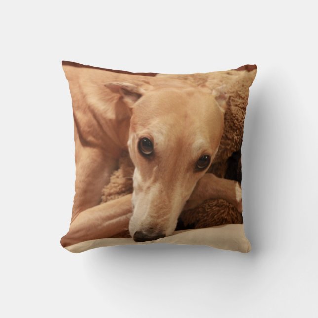 Jax on his pillow. throw pillow (Front)