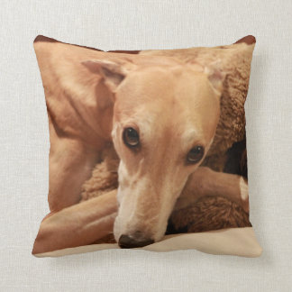 Jax on his pillow. throw pillow