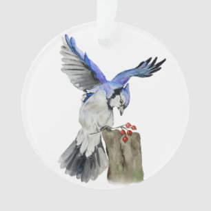 Jay bleu d'oiseau de la forêt