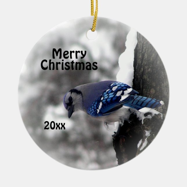 Jay bleu Noël Ornement Joyeux Noël Année (Devant)