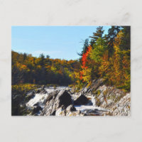Jay Cook State Park Minnesota