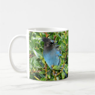 Jay Mug de Steller par BirdingCollectibles