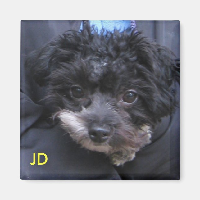 JD MAGNET (Front)