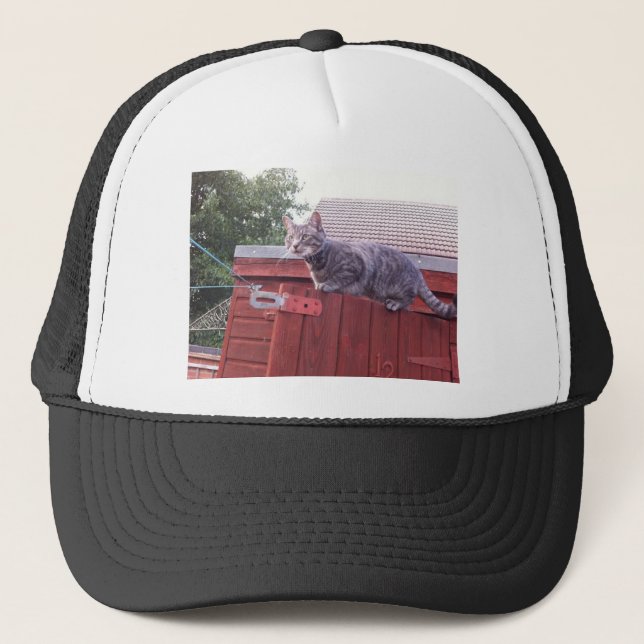 JD the cat cap (Front)