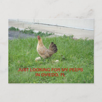 Je cherche mes cartes postales peeps