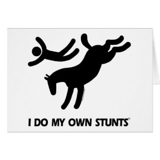 Je fais mon propre cheval de Stunts™ : image