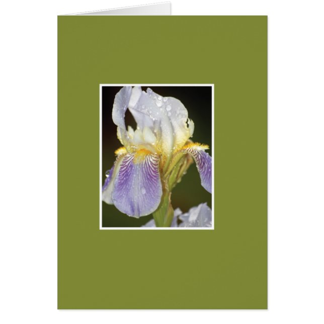 Je fleuris avec vous (Devant)