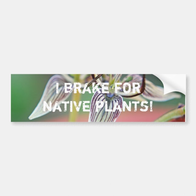 Je freine pour les plantes natifs - Bumper sticker (Devant)