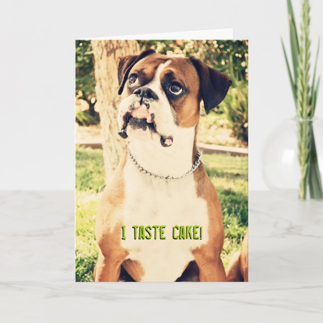 Je Goûte Du Gâteau ! Carte d'anniversaire Boxer (Devant)