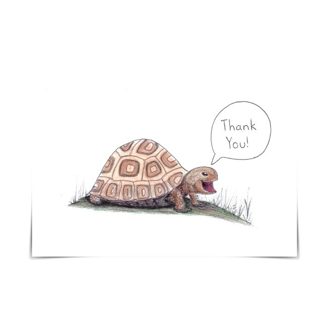 "Je L'Apprécie À Turtley" Carte de remerciements T (Créateur téléchargé)