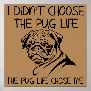 Je n'ai pas choisi la vie de pug Affiche drôle Sig
