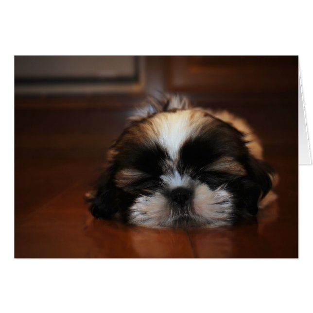 Je ne fais que reposer ma carte sans yeux (Devant Horizontal)