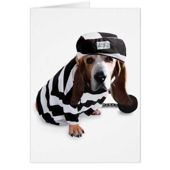 Je ne l'ai pas voulu dire… (Devant)