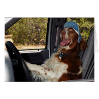 JE NE PEUX PAS CONDUIRE 55 !