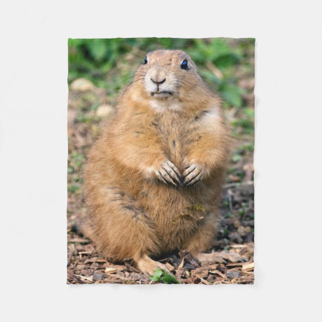 Je ne suis pas gros, je suis couverture câline (Devant)