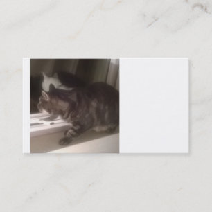 Je ne vous parle pas Dave Cartes de visite