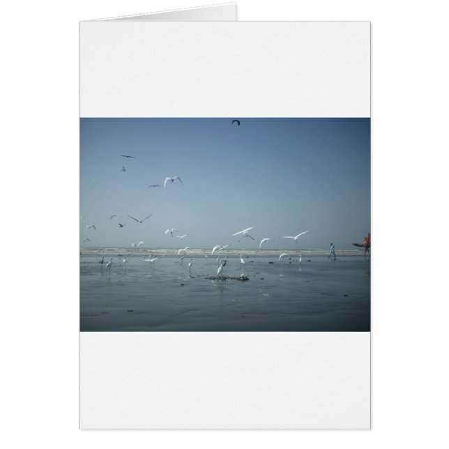 Je peux voler (Devant)