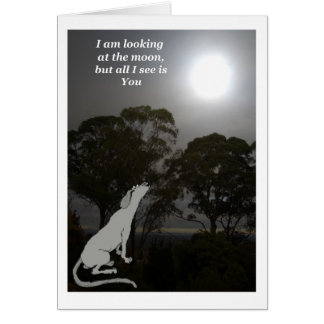 Je regarde la lune