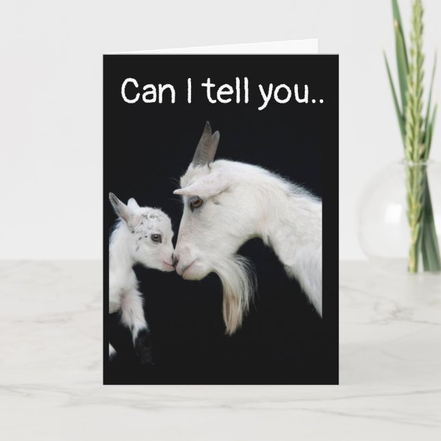 JE SUIS AINSI **TRISTE** ET DONC **DÉSOLÉ** CARTE (Devant)