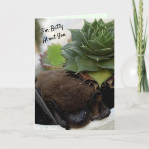 Je suis Batty About You - Carte Saint Valentin