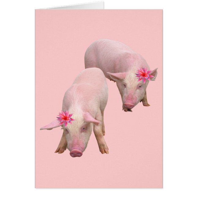 Je suis beau (Devant)