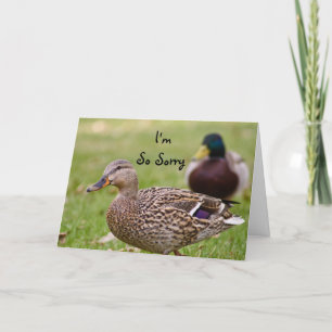 Je suis carte tellement désolée de canard