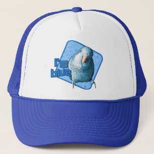 Je suis casquette bleu de perruche de quaker