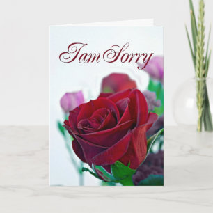 Je suis désolé carte avec une rose rouge
