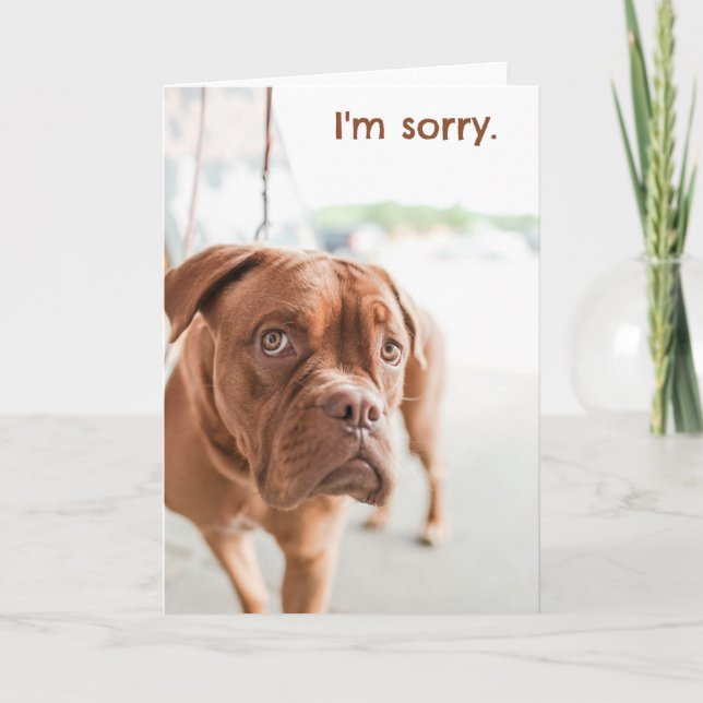 Je suis désolé carte d'excuses avec un chien coupa (Devant)