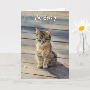 Je Suis Désolé Mignon Chaton Carte Féline