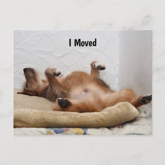 Je suis épuisé ! Carte postale (Devant)