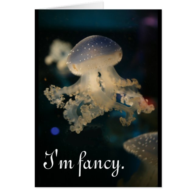 Je suis fantaisie (Devant)