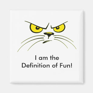 Je suis la Définition du Fun ! / Aimant de chat
