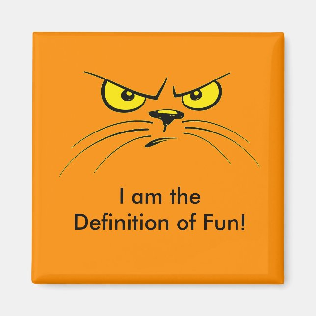 Je suis la Définition du Fun ! / Aimant de chat (Devant)