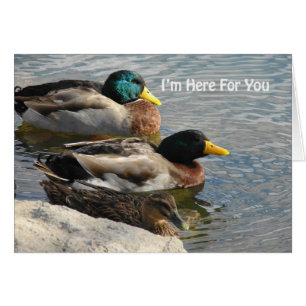Je suis là pour vous Canards dans l'eau