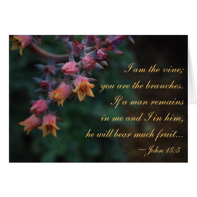 Je suis la vigne… 15:5 de John (Devant horizontal)