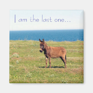 Je suis le dernier... Magnet