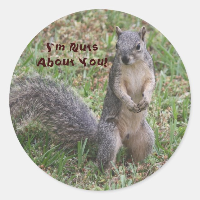 Je suis Nuts à propos de vous Sticker (Devant)
