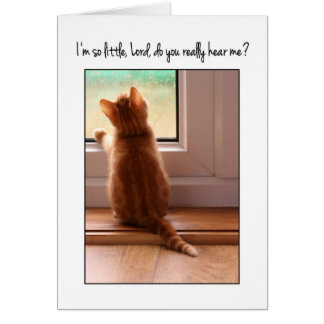 Je suis si petit Seigneur, m'entendez-vous ? chat