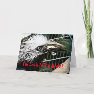 Je suis tellement un cerveau d'oiseaux drôle carte
