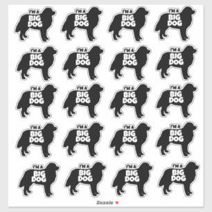 Je suis un grand chien bernois Stickers chien de m