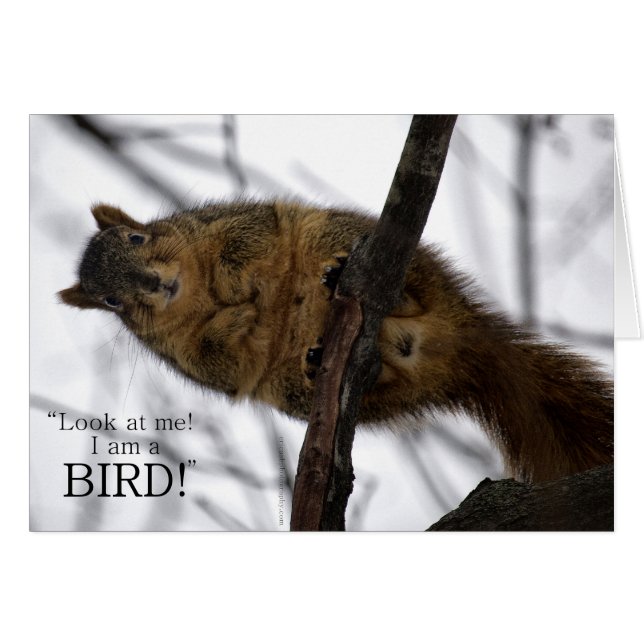 Je suis un OISEAU ! (Devant horizontal)