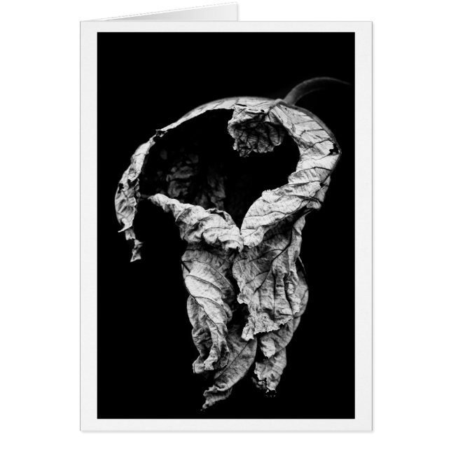 je t'ai attendu (Devant)