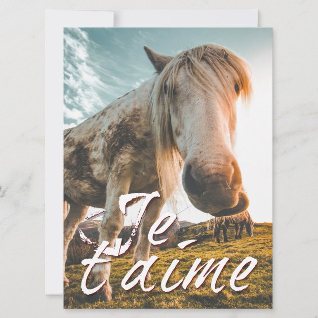 Je t'aime avec regardé cheva (Front)
