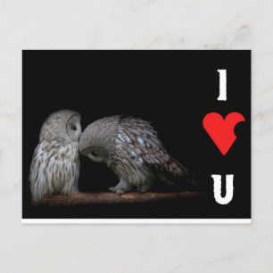 Je t'aime carte postale