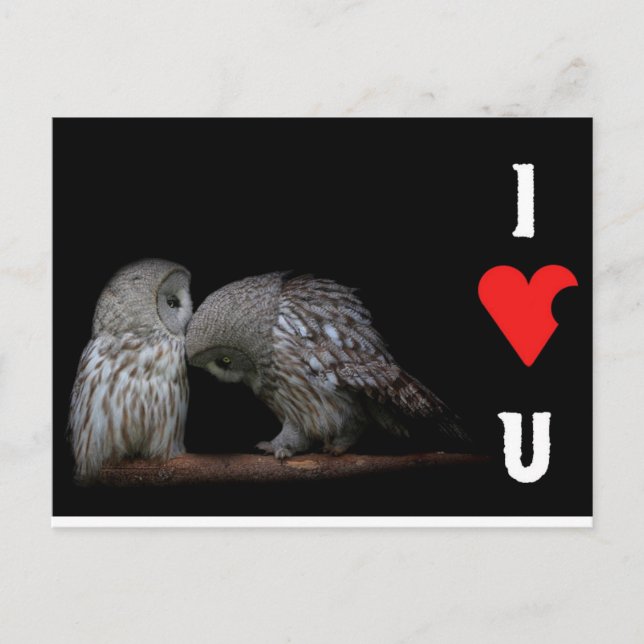 Je t'aime carte postale (Devant)