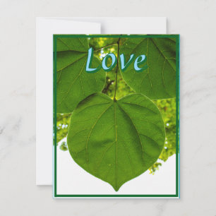 Je t'aime comme le soleil Carte de vacances Leaf F