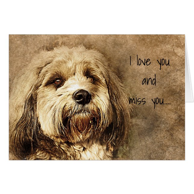 Je t'aime et tu me manques, Triste Chien (Devant horizontal)