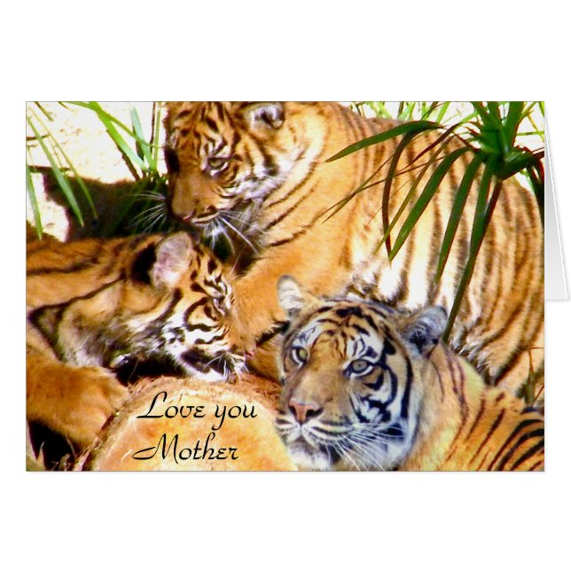 Je t'aime, Mère_ (Devant Horizontal)