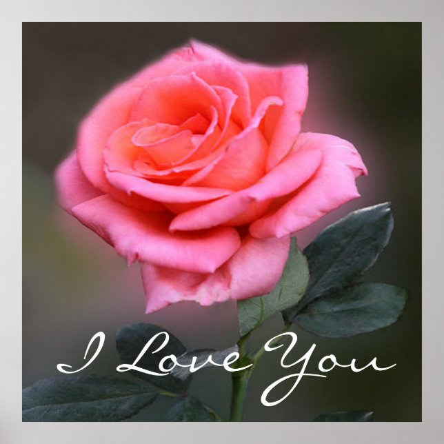Je t'aime poster rose (Devant)